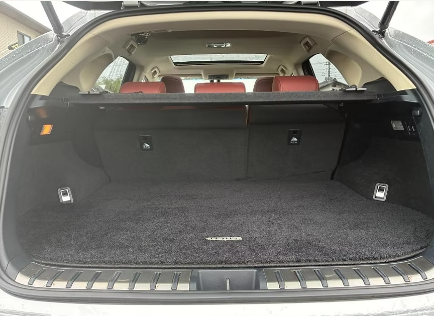 2015 LEXUS NX300H VERSION L photo 5