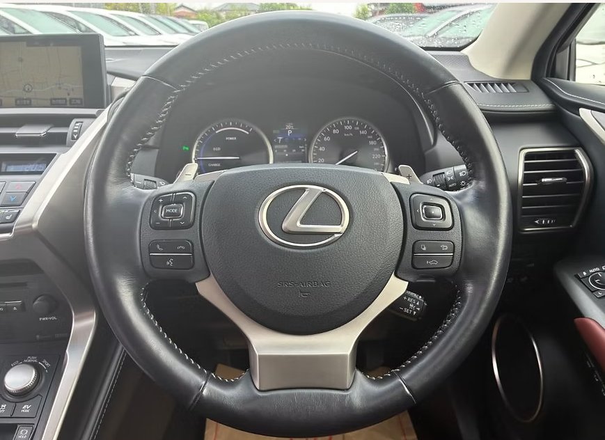 2015 LEXUS NX300H VERSION L photo 10