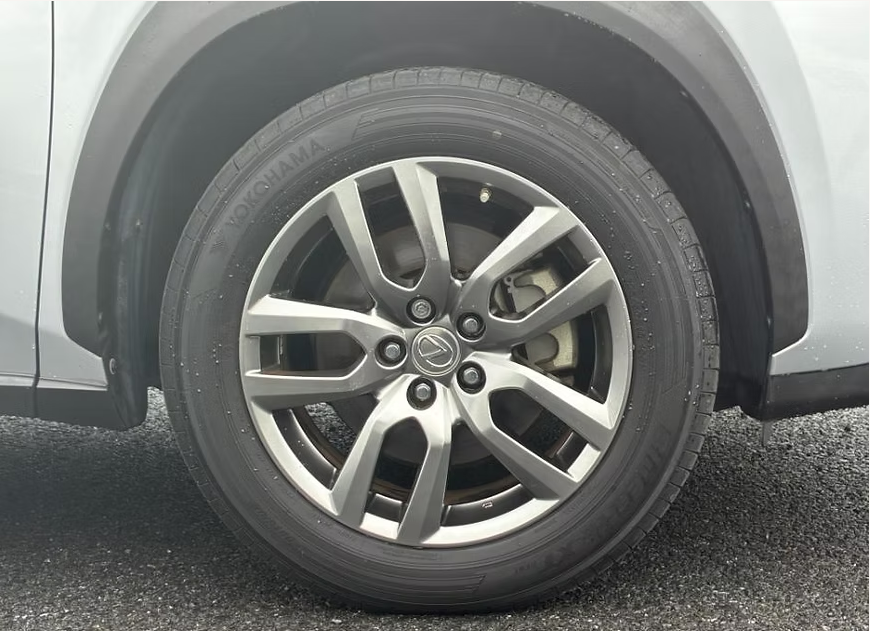 2015 LEXUS NX300H VERSION L photo 14